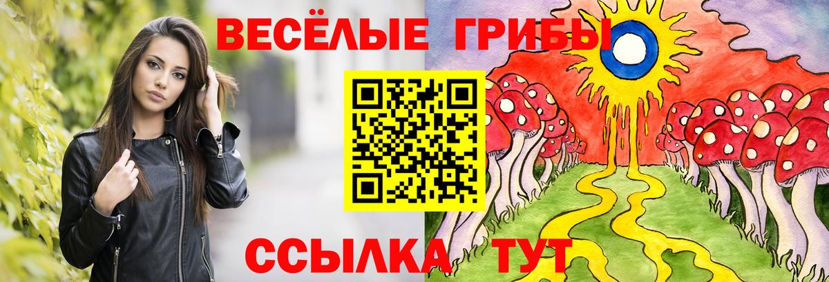 Галлюциногенные грибы GOLDEN TEACHER Удомля